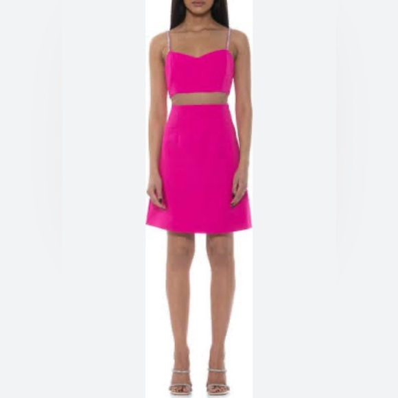 NWT Alexia Admor Eloise Illusion Sweetheart A-Line Dress |Size 2 - Picture 4 of 11